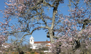 Portugal: Yoga-Mandelblütenwoche